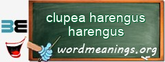 WordMeaning blackboard for clupea harengus harengus